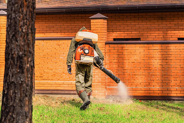 Trusted Cockroach Control service in Belle Isle, FL - Nex Pest Control